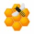 Bee combs with honey and bee. A natural organic beekeeping product. Color vector illustration in cartoon flat style. Isolated on a white background.